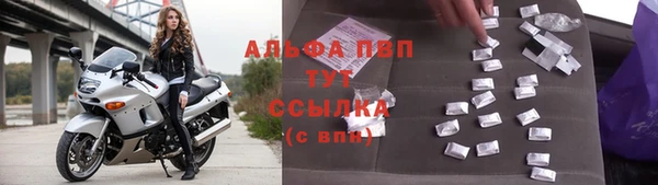 spice Аркадак