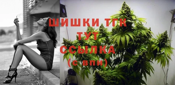 spice Аркадак